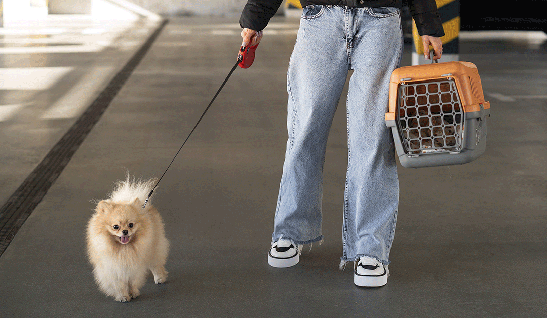 NOVITA’ AEROPORTO DI FIUMICINO-ROMA